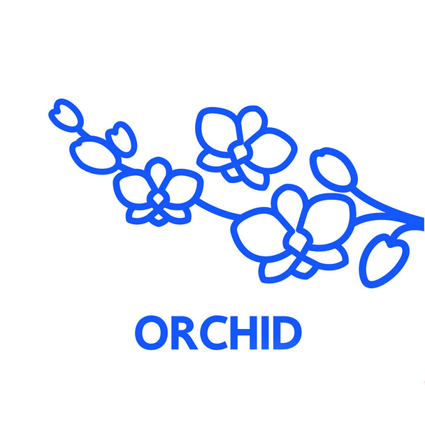 Illustrazione grande premio del vettore di concetto di progettazione del Orchid
.  - Vettoriali, immagini