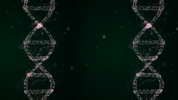 Экспертиза ДНК. Доказательства 3D анимации спиралей ДНК в качестве важного инструмента в расследовании преступлений
. - Кадры, видео
