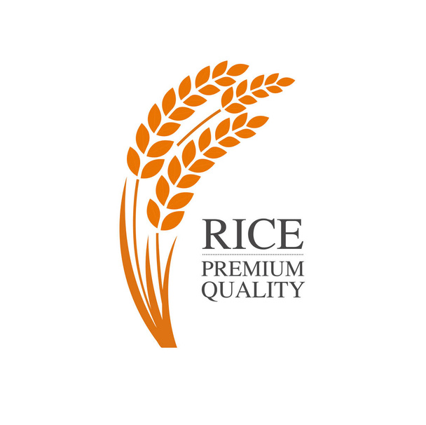 Premium rijst geweldige kwaliteit design concept vector. - Vector, afbeelding