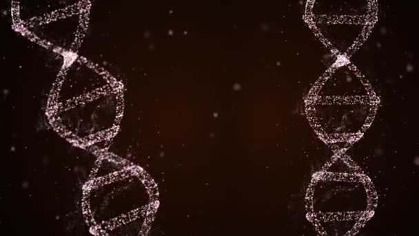 Dos modelos de ADN de hebra hélice sobre un fondo oscuro con partículas de bokeh voladoras alrededor
. - Metraje, vídeo