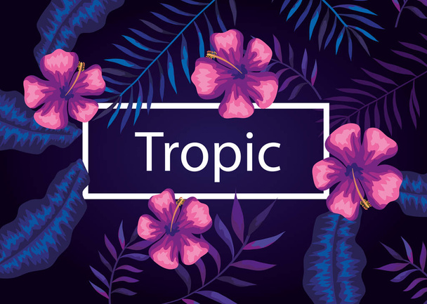 ramka tropikalna z kwiatami fioletowy i liści - Wektor, obraz