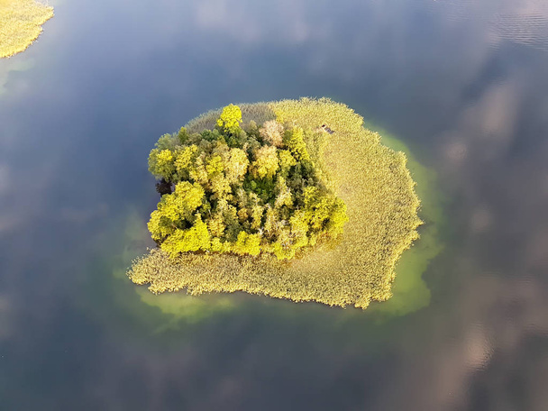 Island in the lake. Little green land in the middle of the water. Aerial view at tiny island. - Valokuva, kuva