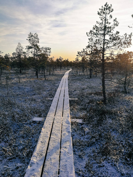 Národní park Kemeri. Rezerva na mokřady v Lotyšsku. Turistické trasy v přírodní rezervaci.  - Fotografie, Obrázek