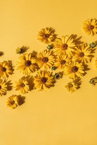 Floral composition with yellow daisy flower buds on yellow background. Flatlay, top view. - Fotó, kép