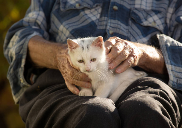 Idősebb férfi, aki macskát tart az ölében - Fotó, kép