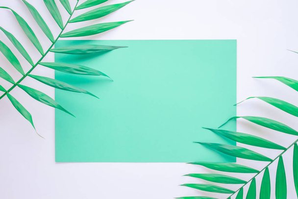 tyrkysově modré rozložení s tropickými palmovými listy na bílém pozadí - Fotografie, Obrázek