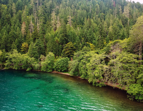 Fantastic antenni valokuvaus Lake Crescent turkoosi värillinen vesi ja vihreät puut valkoiset pilvet sininen taivas vene käynnistää ja saaret olympialaisissa kansallispuistossa Port Angeles Washington
 - Valokuva, kuva