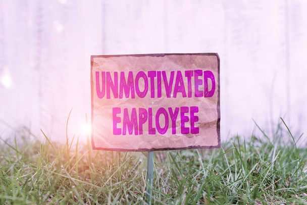 Handwriting text writing Unmotivated Employee. Conceptual photo very low self esteem and no interest to work hard Crumpled paper attached to a stick and placed in the green grassy land - Photo, Image