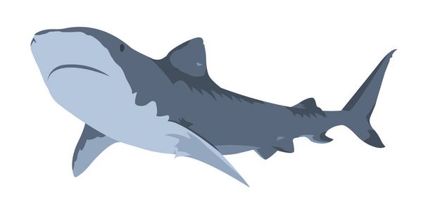 Shark Icon. Minimalistic performance. Isolated vector illustration on a white background. - Vector, Image
