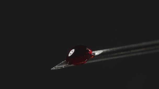 Vidéo de seringue aiguille en acier avec goutte de sang rouge
 - Séquence, vidéo
