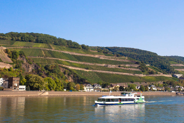 Beautiful scenic German landscape of village and tiered vineyard along the Rhine River with river cruise ship in view. - 写真・画像