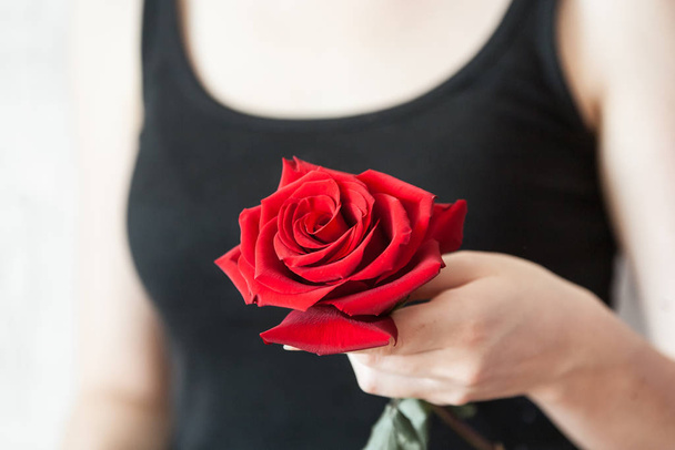 Woman Hands tenderly holding big red rose on black shirt background - Фото, изображение