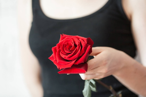 Woman Hands tenderly holding big red rose on black shirt background - Фото, изображение