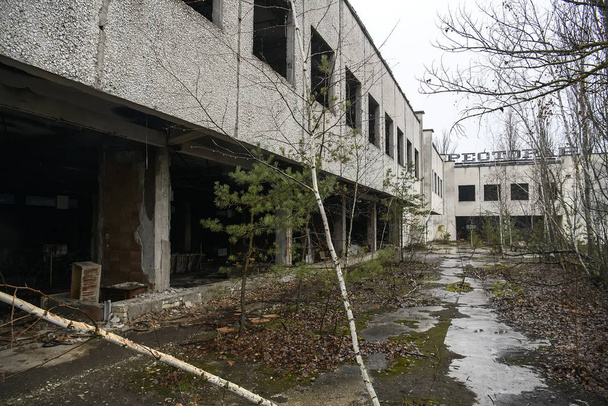 Ukrayna 'nın Çernobil nükleer santrali yakınlarındaki terk edilmiş Prypiat şehrinde bir restoran. Aralık 2019 - Fotoğraf, Görsel