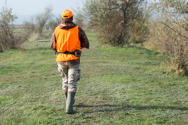 Mies ase kädessään ja oranssi liivi fasaanin metsästyksessä metsäisellä alueella pilvisellä säällä. Hunter koirien kanssa etsimään riistaa. - Valokuva, kuva