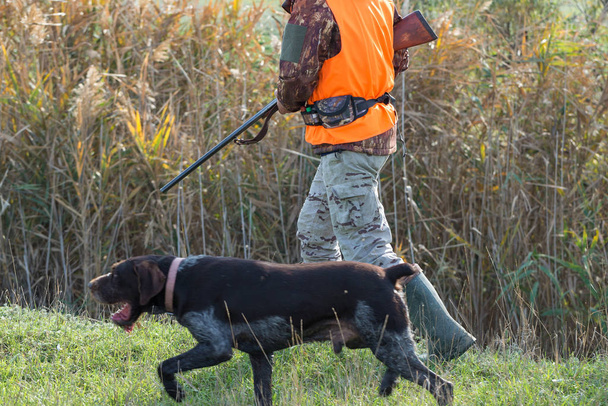 Ein Mann mit einem Gewehr in der Hand und einer orangefarbenen Weste auf Fasanenjagd in einem Waldstück bei trübem Wetter. Jäger mit Hunden auf der Suche nach Wild. - Foto, Bild