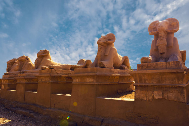 Аллея сфинксов храма Карнак. Самый большой храмовый комплекс древности в мире. Всемирное наследие ЮНЕСКО
. - Фото, изображение