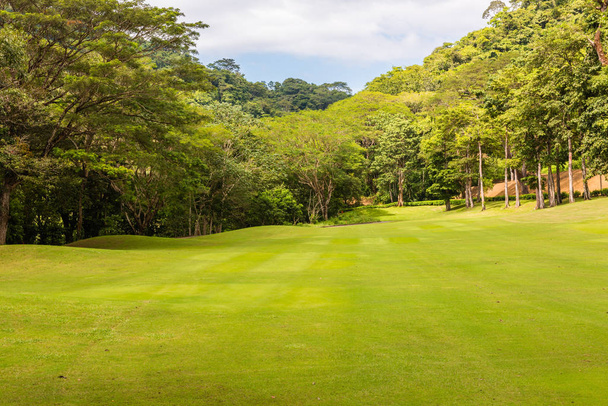 Landscape at the golf course. Tropical zone - Photo, image