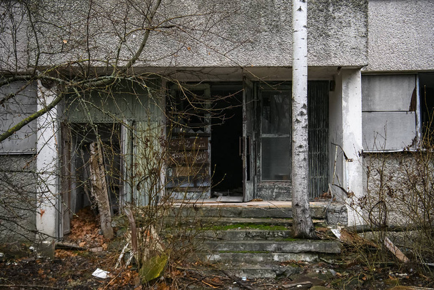 Abandoned ghost town Prypiat. Overgrown trees and collapsing buildings in Chornobyl exclusion zone. December 2019 - Fotó, kép