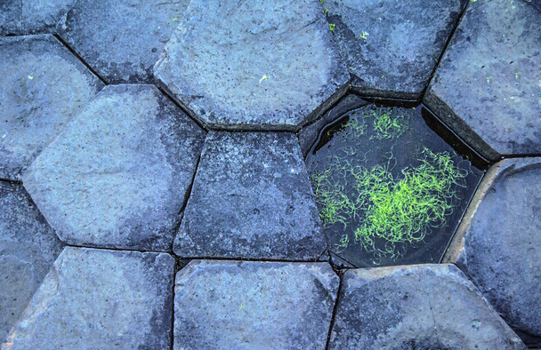 巨人コーズウェイの石のクローズアップ - 写真・画像