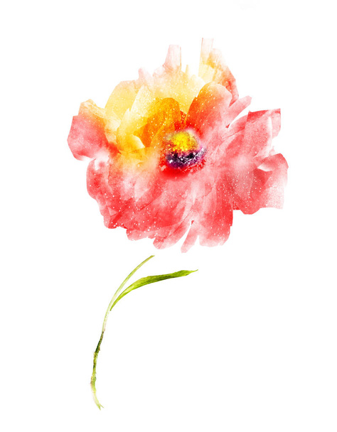 Akvarel květiny, izolované na bílém pozadí - Fotografie, Obrázek