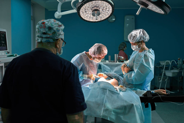 Group of surgeons in operating theater. Medical team performing surgery in operation room. - Photo, Image