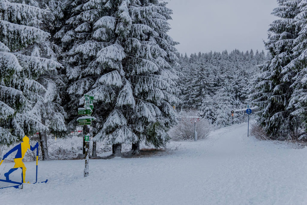 Primeira pequena caminhada de inverno ao longo do Rennsteig através da Floresta Turíngia - Oberhof / Alemanha
 - Foto, Imagem