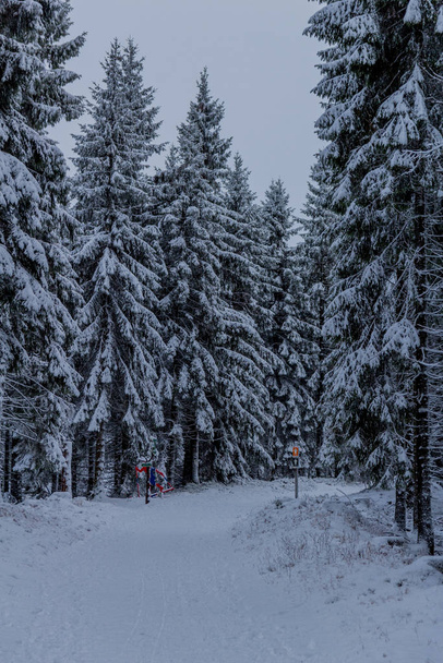 Primeira pequena caminhada de inverno ao longo do Rennsteig através da Floresta Turíngia - Oberhof / Alemanha
 - Foto, Imagem