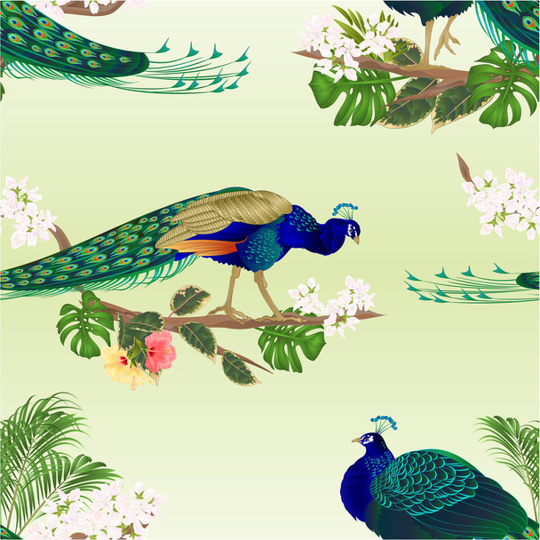 Bezešvé textury dva pávi tropických ptáků na větvi s fíkusem a ibiškem a filodendron akvarel vintage vektorové ilustrace upravitelné ručně kreslené   - Vektor, obrázek