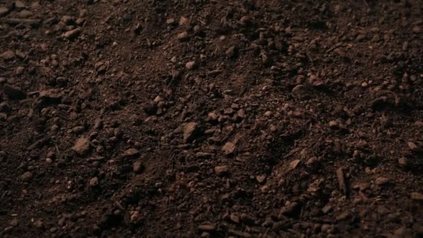 Áttérés a talaj általános hátterére - Felvétel, videó