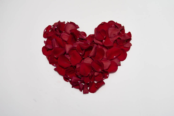 Corazón rojo de pétalos de rosa aislados sobre fondo blanco
 - Foto, Imagen