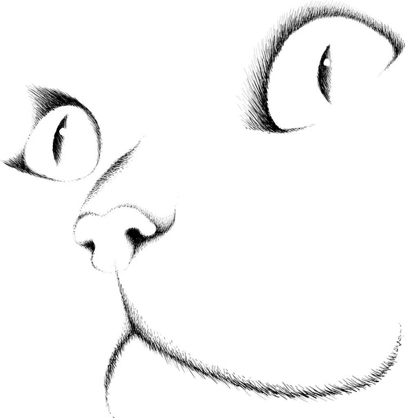 Логотип кота для татуювання або дизайну футболок або одягу. Милий котячий фон стилю друку
.  - Фото, зображення