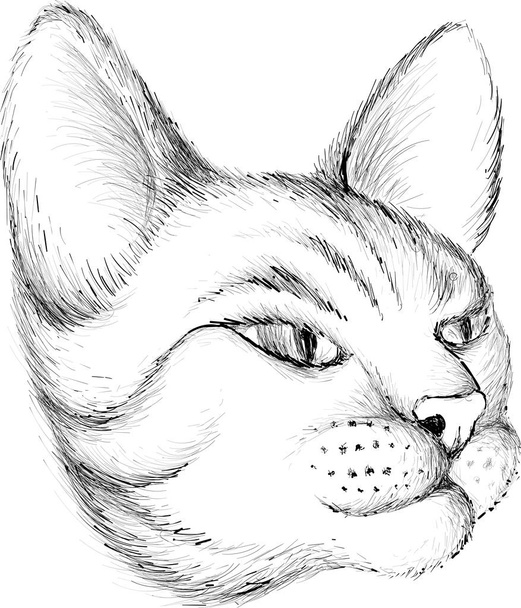 A logó macska tetoválás vagy póló design vagy fehérnemű. Aranyos nyomtatás stílus macska háttér.  - Fotó, kép
