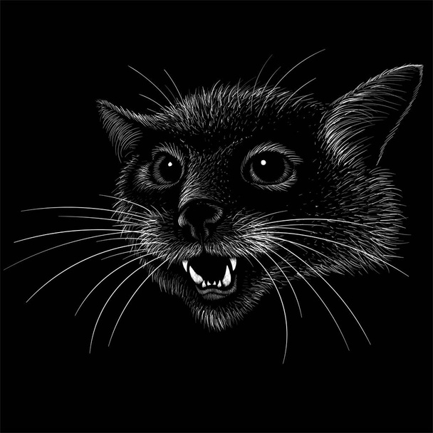 Το λογότυπο γάτα για τατουάζ ή T-shirt σχεδιασμό ή outwear. - Φωτογραφία, εικόνα