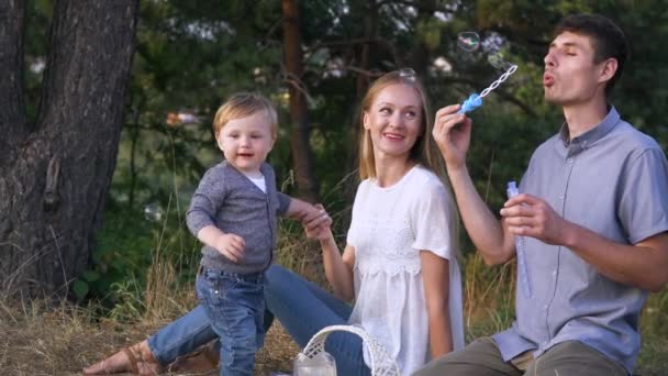 Mother and father with young son having picnic in park. Father makes soap bubbles. Baby catches the soap bubbles. Family leisure outdoors in the natural landscape - Footage, Video