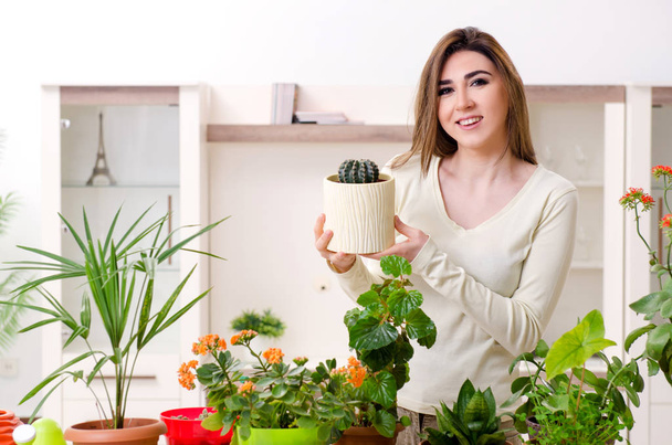 Jonge vrouwelijke tuinman met planten binnen - Foto, afbeelding