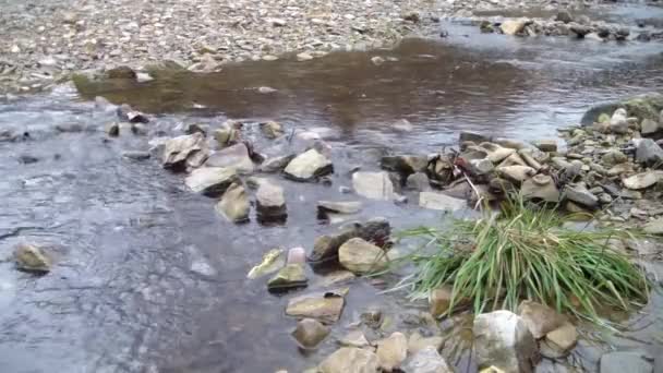 Running stream through rocks and rocks causing white water on sunny autumn day - Materiaali, video