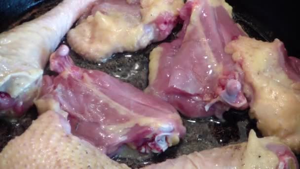 Τηγανίστε κρέας κοτόπουλου σε ένα τηγάνι. μπούτια κοτόπουλου σε ένα τηγάνι  - Πλάνα, βίντεο
