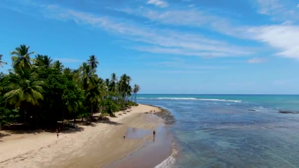 Légi kilátás trópusi fehér homokos strand, pálmafák és türkiz tiszta tengervíz Praia do Forte - Felvétel, videó