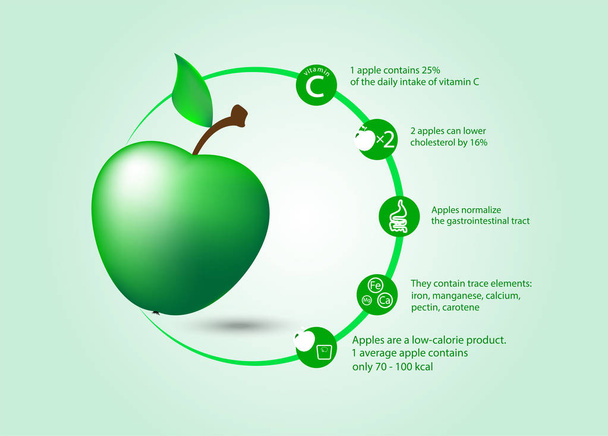 The benefits of the apple to the human body - Vector, Image