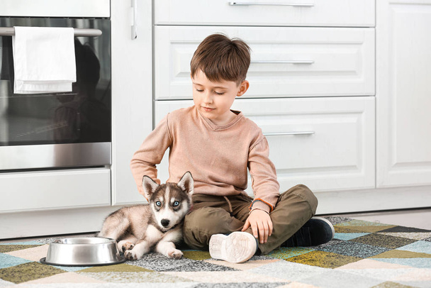 Little boy with cute husky puppy and bowl for food in kitchen - Foto, afbeelding