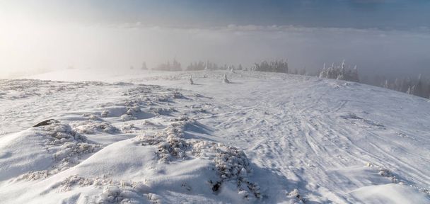 neblige Winterberglandschaft mit schneebedeckter Wiese, kleineren Bäumen, Nebel und klarem Himmel darüber - Foto, Bild