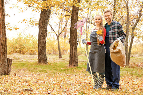 秋の葉を掃除するカップル屋外 - 写真・画像