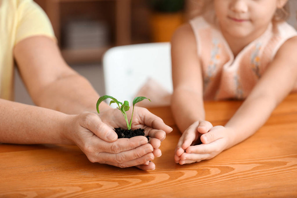 Mains de grand-mère et petite fille avec jeune plante et terre, gros plan
 - Photo, image