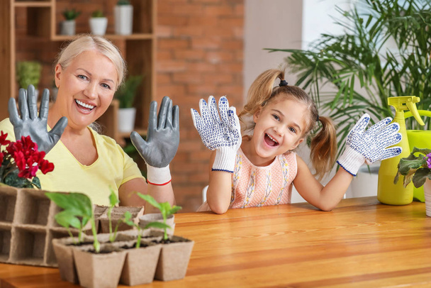 Mutlu küçük kız ve büyükanne evde bahçe eldiveni giyiyorlar. - Fotoğraf, Görsel