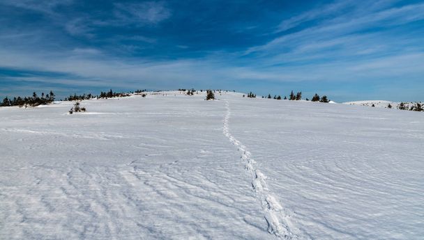 снігоходи кроки йдуть на вершину пагорба в зимових горах
 - Фото, зображення