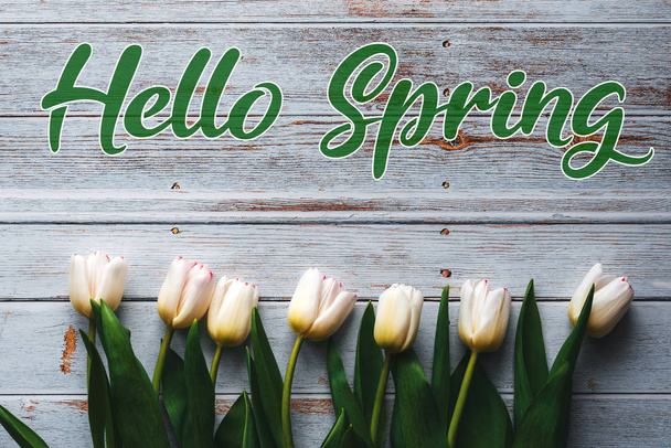Üdvözlőlap "Hello Spring" felirattal. Fehér tulipánvirág csokor - Fotó, kép