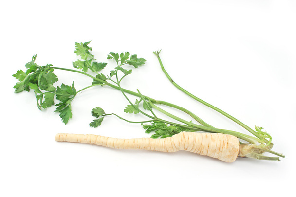 Fresh parsley with root and leaf on white - Photo, Image