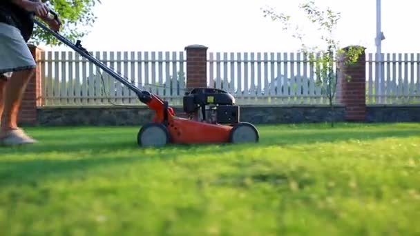 Bir adam çim biçme makinesiyle çim biçiyor. - Video, Çekim