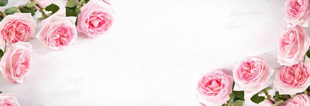 Belle rose rosa fiori
  - Foto, immagini